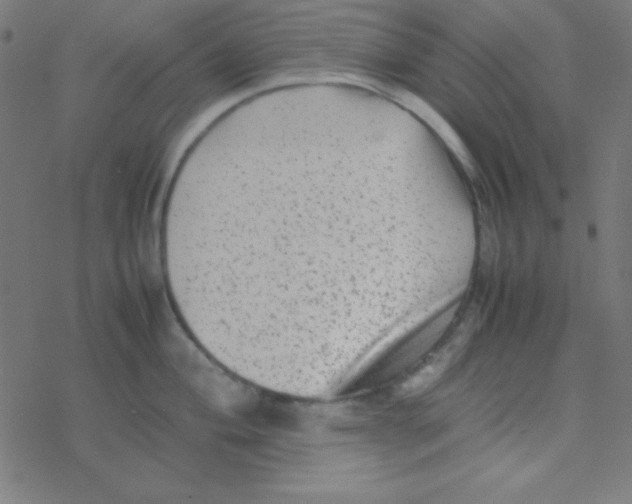 X0000077381004200611101725