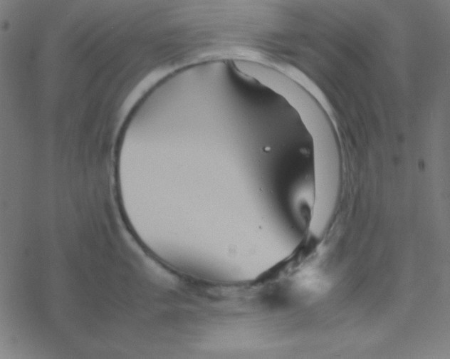 X0000077381005200611101725