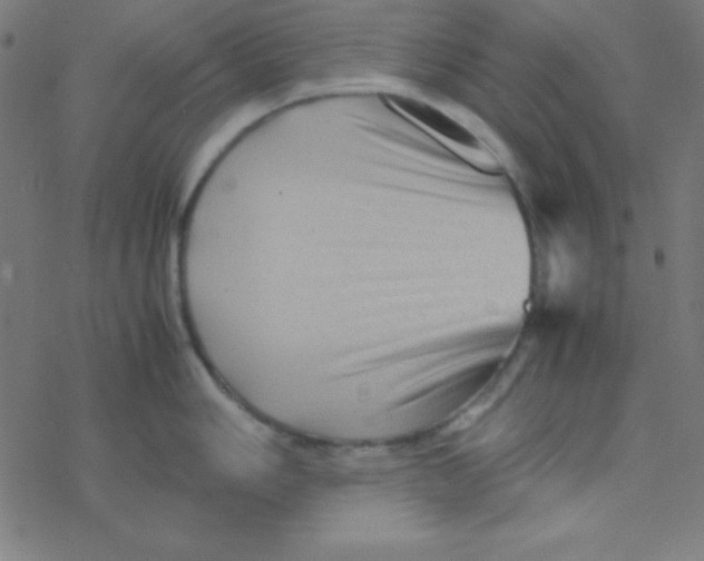 X0000077381006200611101725