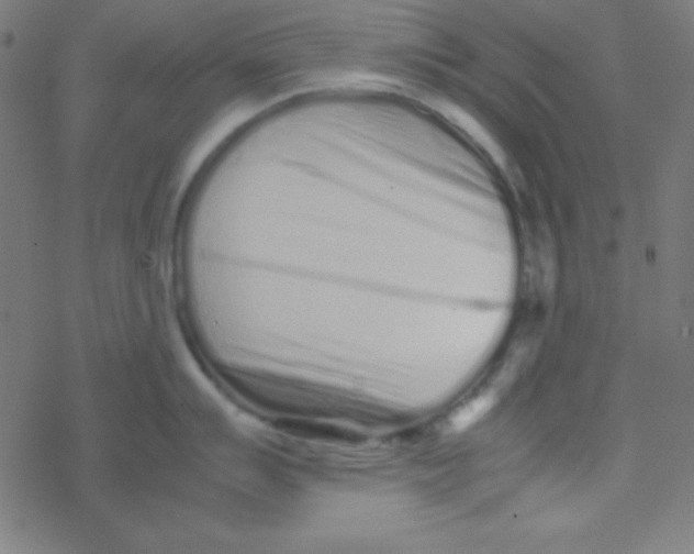 X0000077381007200611101724