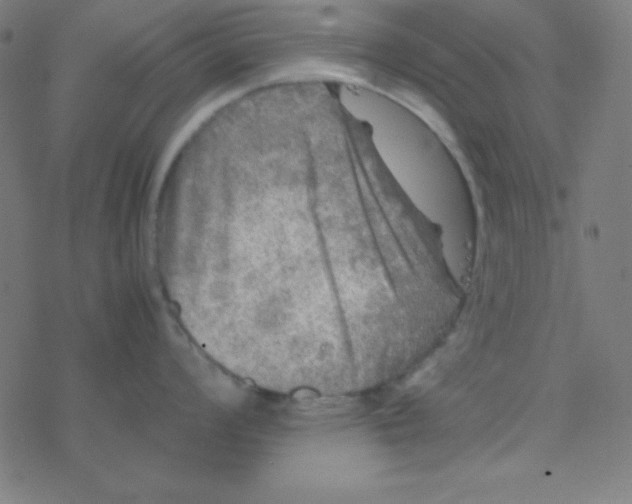 X0000077381008200611101724