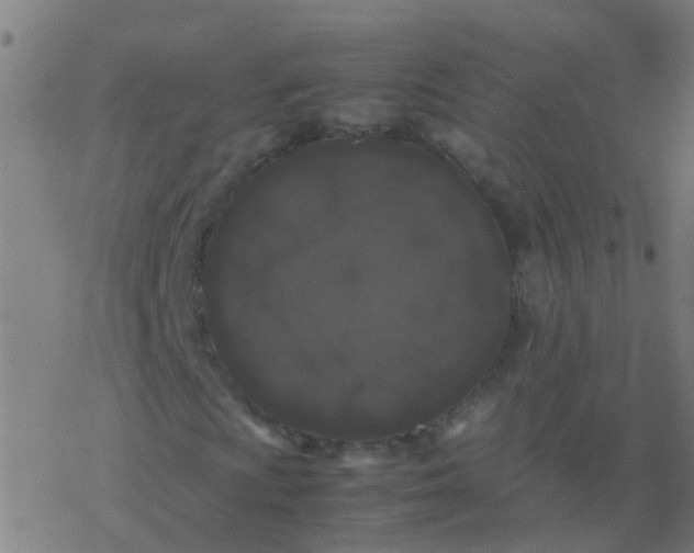 X0000077381009200611101724