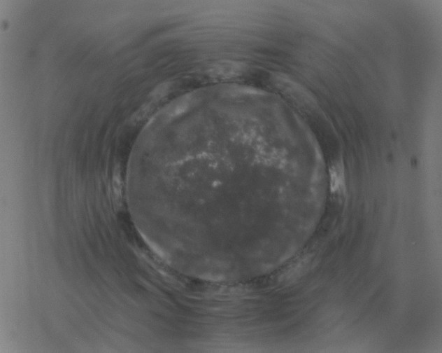 X0000077381011200611101724