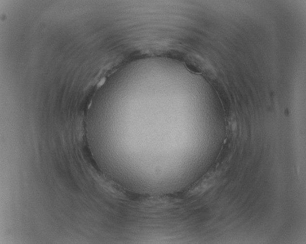 X0000077381012200611101724