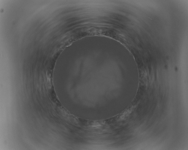 X0000077381013200611101724