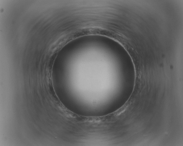 X0000077381014200611101724