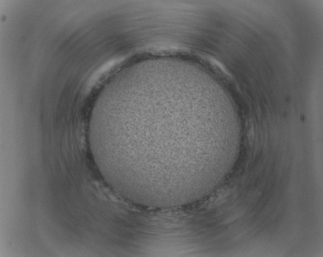 X0000077381016200611101724