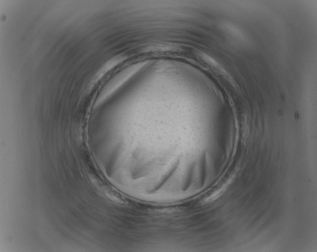 X0000077381017200611101724