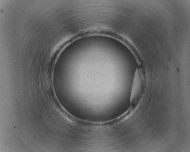 X0000077381018200611101724