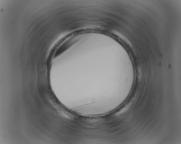 X0000077381021200611101724