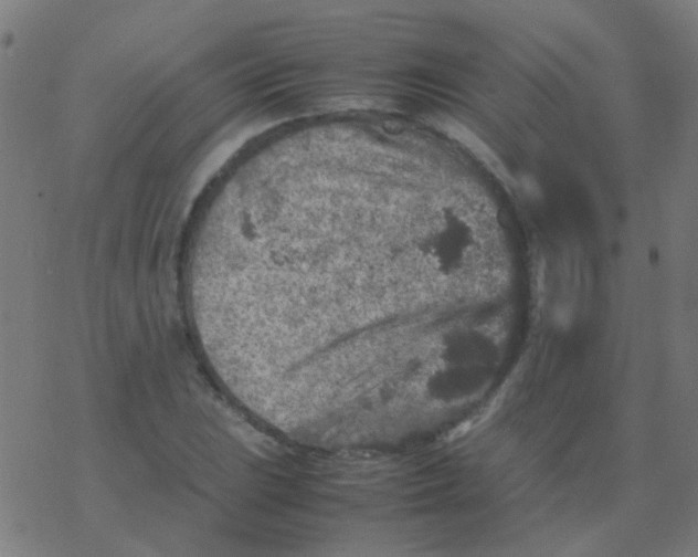 X0000077381023200611101724