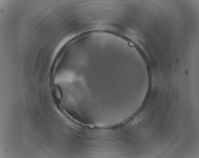 X0000077381024200611101724