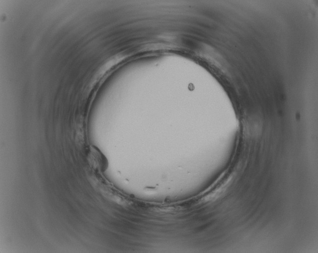 X0000077381025200611101724