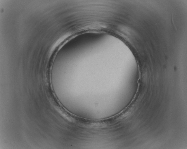 X0000077381026200611101724