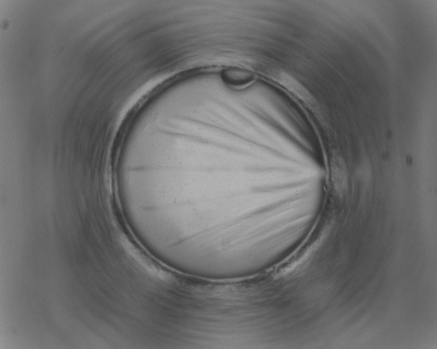 X0000077381028200611101724