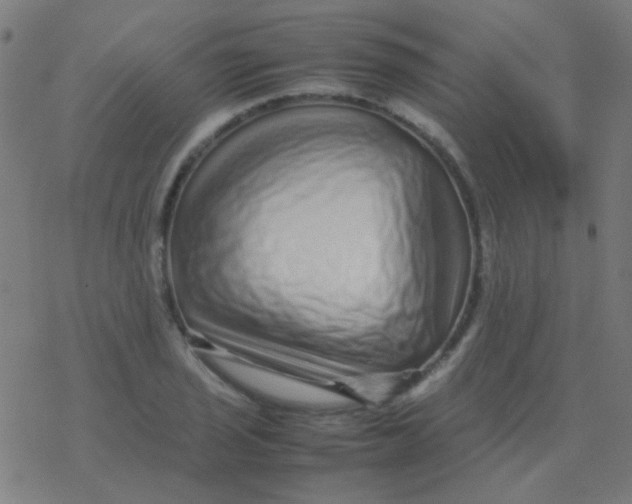 X0000077381029200611101724