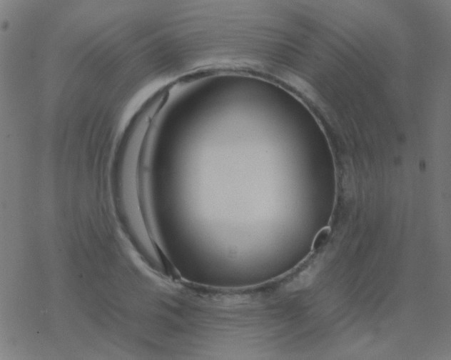 X0000077381030200611101724