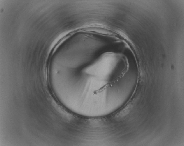 X0000077381032200611101724