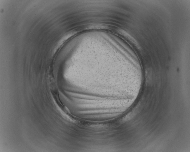 X0000077381033200611101724