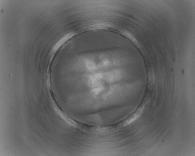 X0000077381034200611101724