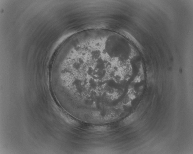 X0000077381035200611101724