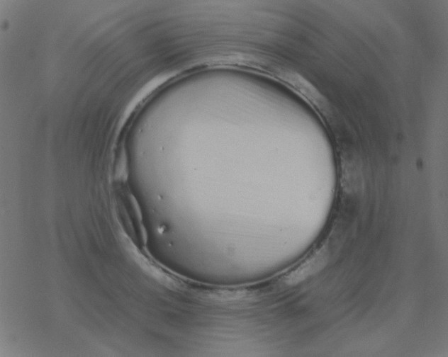 X0000077381036200611101724