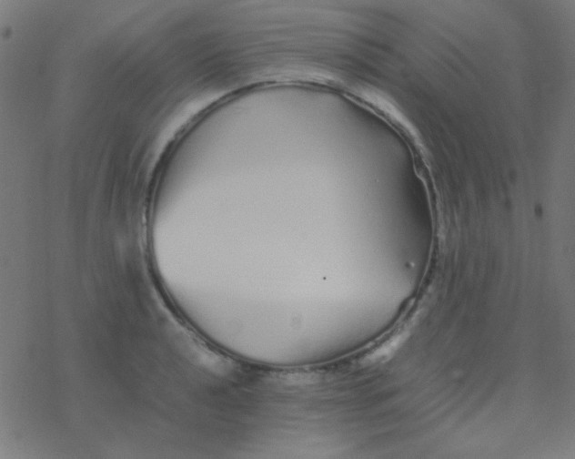 X0000077381040200611101724