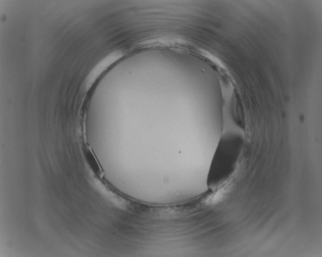 X0000077381042200611101724