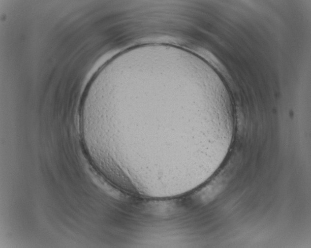 X0000077381044200611101724