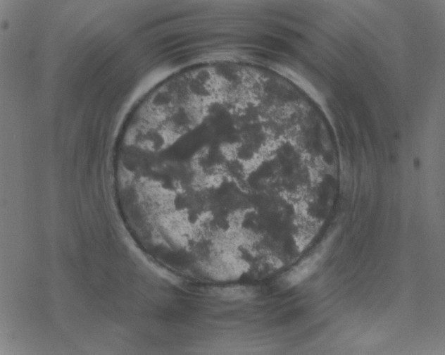 X0000077381045200611101724