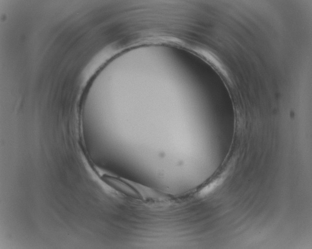 X0000077381046200611101724