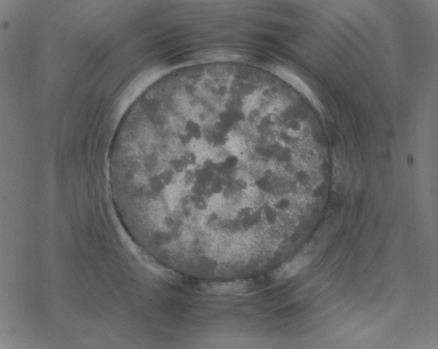 X0000077381047200611101724