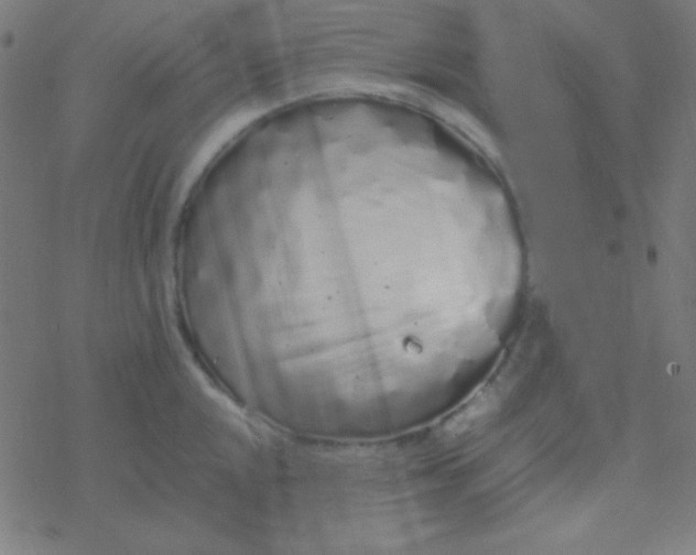 X0000077381048200611101724