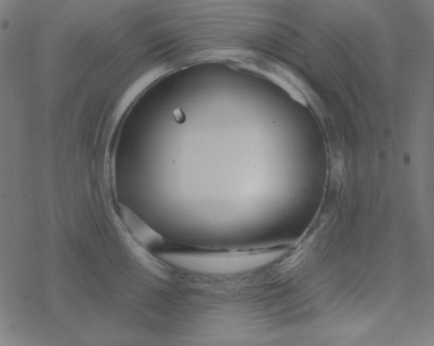 X0000077381050200611101724