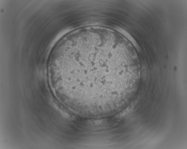 X0000077381051200611101724