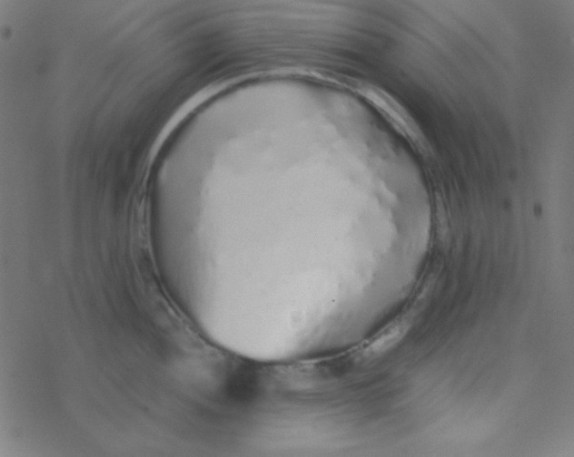 X0000077381052200611101724