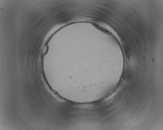 X0000077381053200611101724