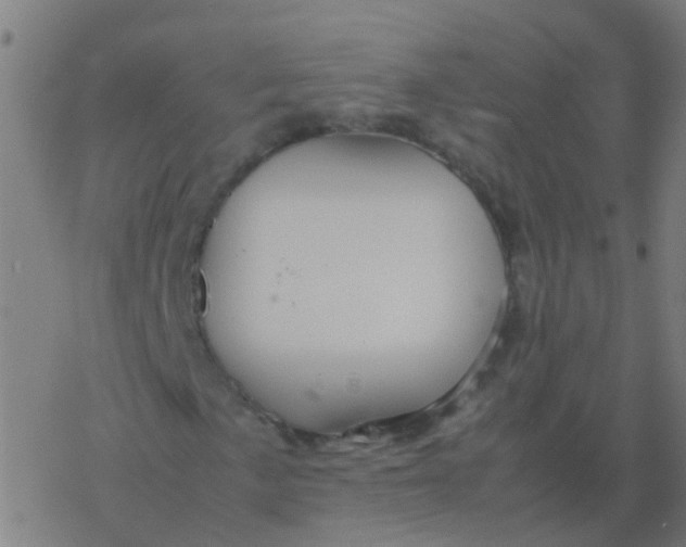 X0000077381057200611101724