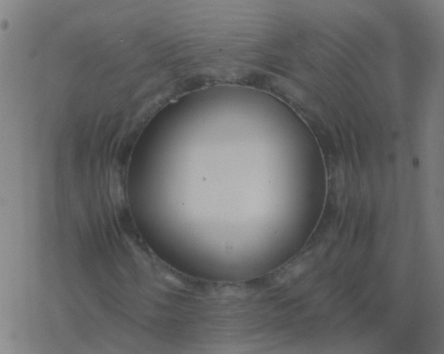 X0000077381058200611101724