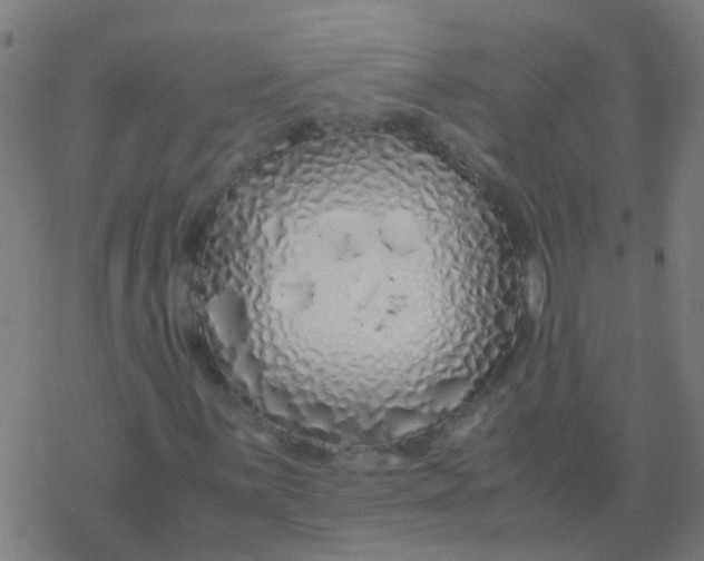 X0000077381059200611101724