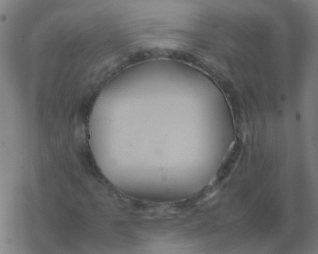 X0000077381061200611101724