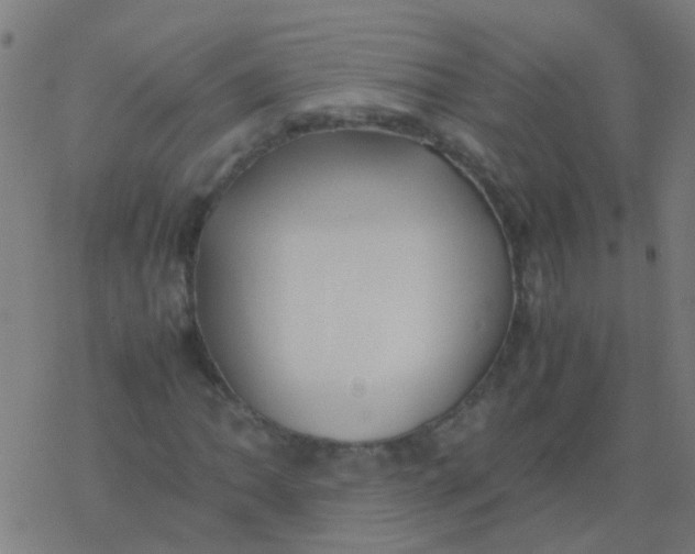 X0000077381062200611101724