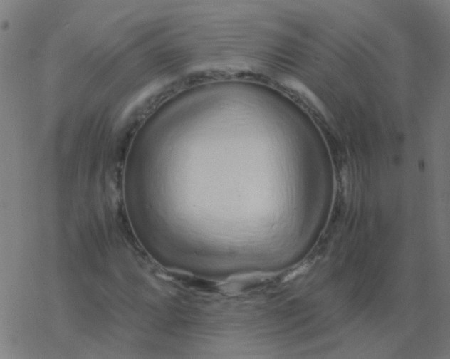 X0000077381064200611101724