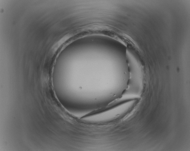 X0000077381065200611101724