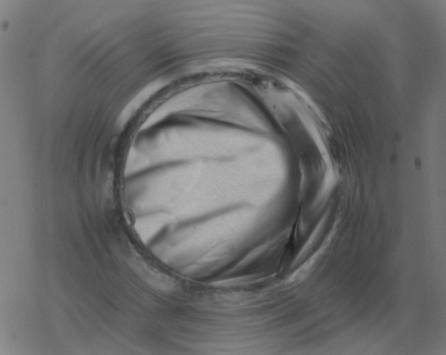 X0000077381066200611101724