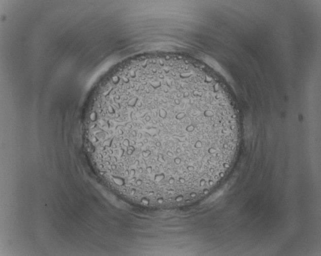 X0000077381067200611101724