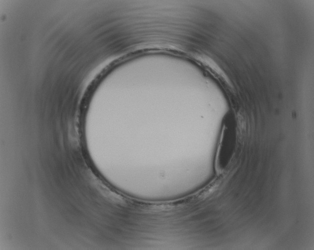 X0000077381068200611101723