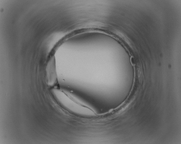 X0000077381069200611101723