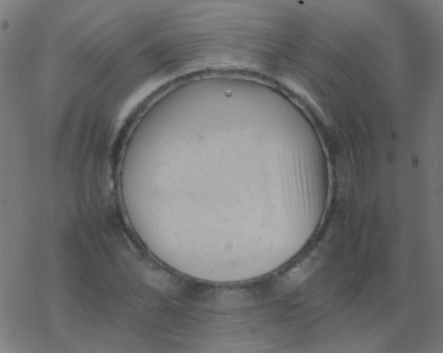 X0000077381070200611101723