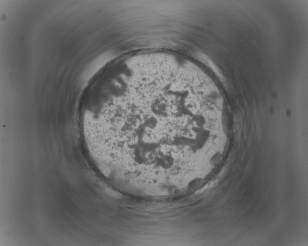 X0000077381071200611101723